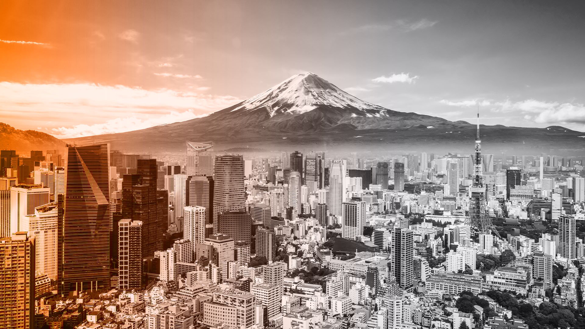 Tokyo Office